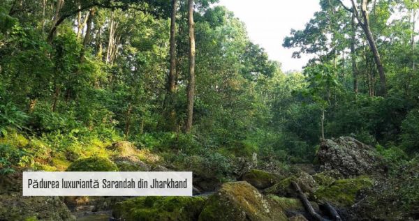 Descoperiţi India! Oportunităţi economice în Jharkhand