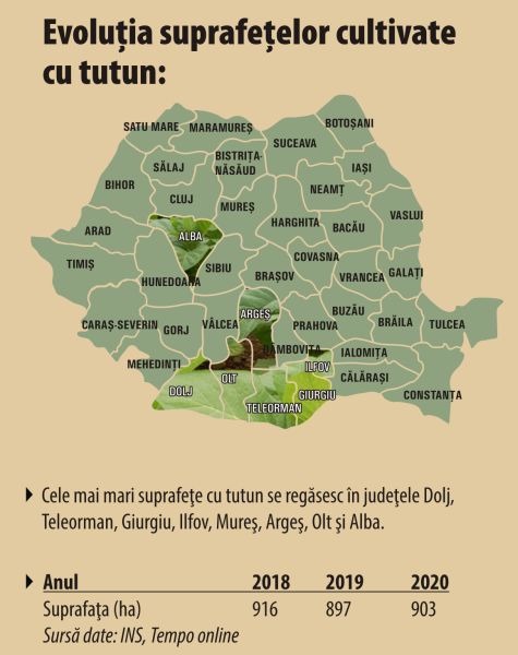 Peste 13 miliarde lei - încasările ANAF din accizele la produsele din tutun