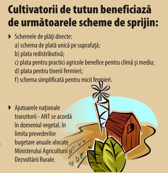 Peste 13 miliarde lei - încasările ANAF din accizele la produsele din tutun