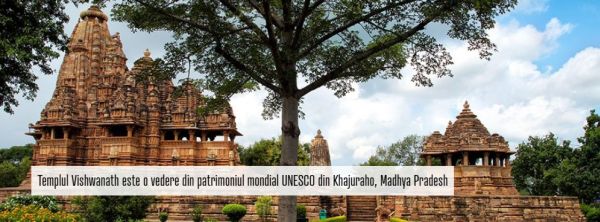 Descoperiţi India! Oportunităţi economice în Madhya Pradesh