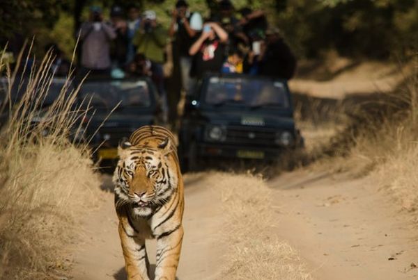 Descoperiţi India! Oportunităţi economice în Madhya Pradesh