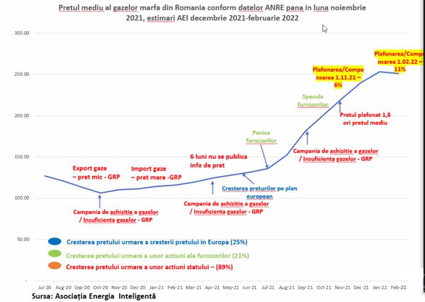 "Statul a avut o contribuţie majoră la creşterea preţurilor gazelor naturale"