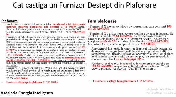 "Statul a avut o contribuţie majoră la creşterea preţurilor gazelor naturale"