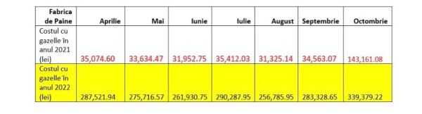 Cât vom plăti pe gaze de la 1 aprilie 2022?