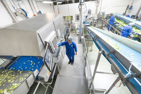 Eisberg estimează o cifră de afaceri de 15,8 milioane euro, pentru 2022