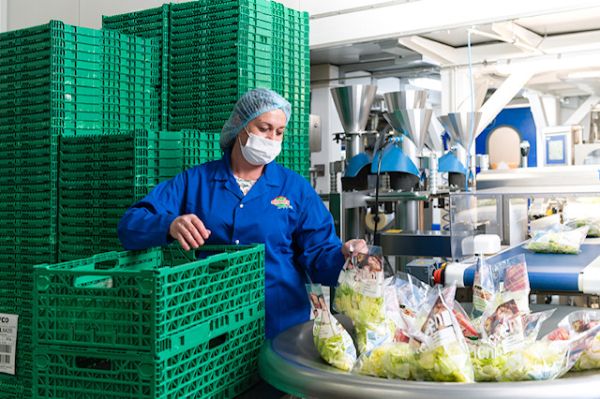 Eisberg estimează o cifră de afaceri de 15,8 milioane euro, pentru 2022