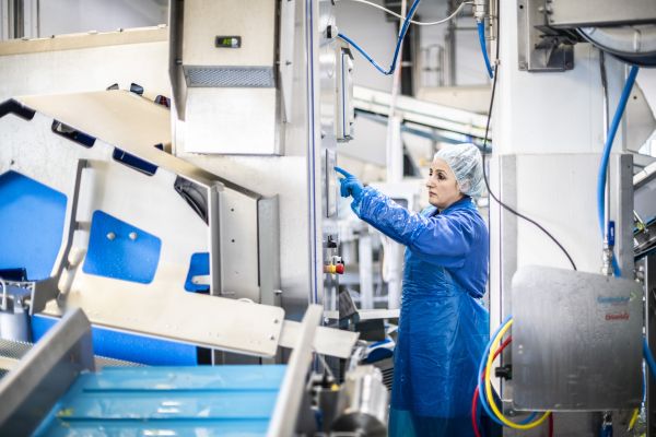Eisberg estimează o cifră de afaceri de 15,8 milioane euro, pentru 2022