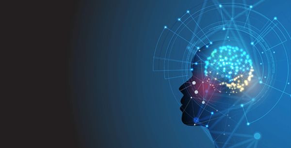 Intelligence: culegerea de informaţii în serviciile speciale