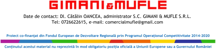"Consolidarea poziţiei pe piaţă a Gimani & Mufle SRL prin investiţii durabile"