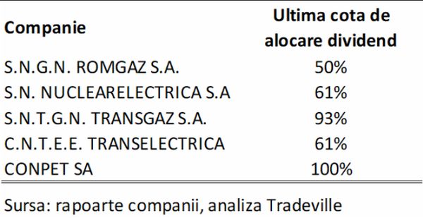 TradeVille: Companiile româneşti din energie - vedetele anului 2022