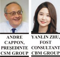 Retirement Savings and Capital Markets: the Case of Romania