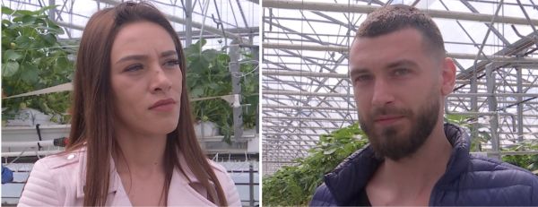 Seră hidroponică de un milion de euro, construită de doi tineri studenţi din Buzău