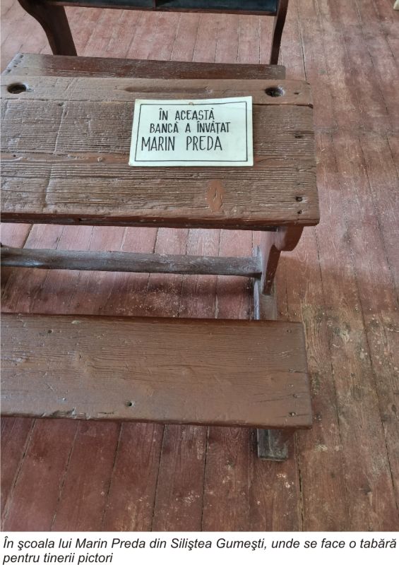 PLASAMENTE ALTERNATIVE