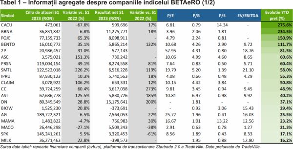 TradeVille: Majoritatea companiilor din BETAeRO au avut un rezultat net în creştere, în prima jumătate a anului