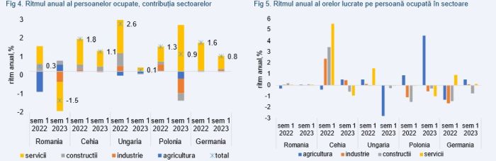Ella Kallai, economist şef Alpha Bank Romania: Este scăderea populaţiei ocupate un posibil indiciu al unei încetiniri persistente a creşterii PIB?"