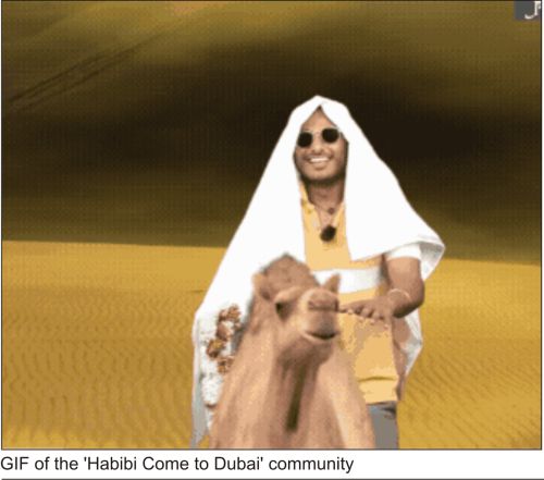 "Habibi Come to Dubai": A Journey Through the World of Memes and the Crypto Community