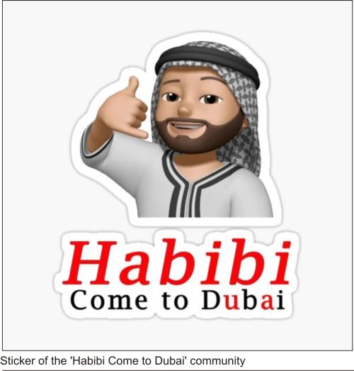 "Habibi Come to Dubai": A Journey Through the World of Memes and the Crypto Community