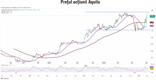 TradeVille: Aquila, susţinută de integrarea companiilor achiziţionate