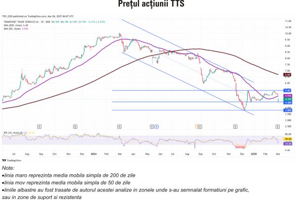 TradeVille: 2024, an dificil pentru Transport Trade Services