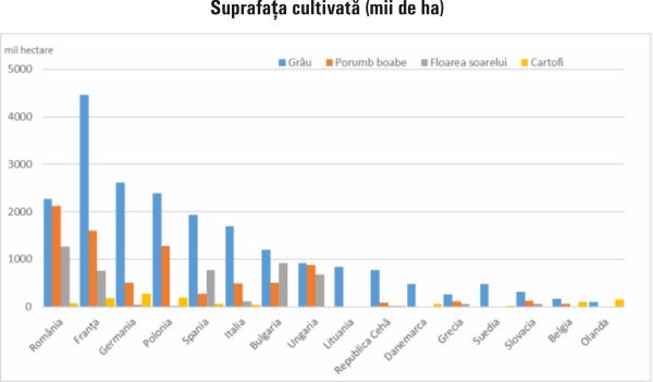 TradeVille: Norofert, orientat pe consolidarea poziţiei şi pe limitarea efectelor externe nefavorabile