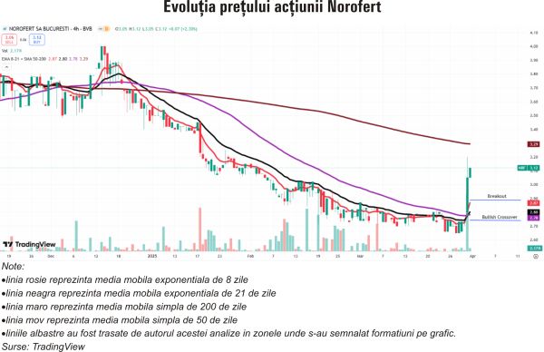 TradeVille: Norofert, orientat pe consolidarea poziţiei şi pe limitarea efectelor externe nefavorabile