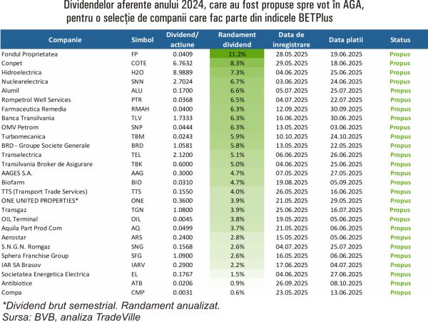 TradeVille: 4,8% - media randamentelor dividendelor pe 2024, pentru companiile din BETPlus