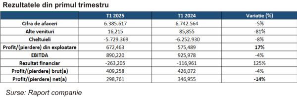 TradeVille: Context nefavorabil pentru Softbinator Technologies