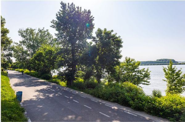 Modernizarea Falezei Dunării a ajuns la etapa licitaţiei