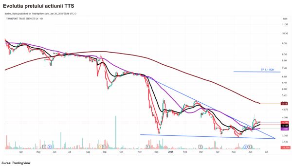 TradeVille: TTS navighează pe ape învolburate