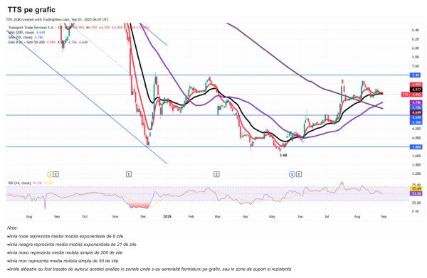 TradeVille: Transport Trade Services - între presiuni şi adaptare