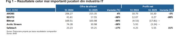 TradeVille: Sectorul IT încetineşte, marcat de amânarea sau anularea multor proiecte şi contracte noi