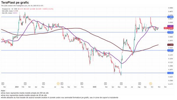 TradeVille: TeraPlast continuă trendul ascendent