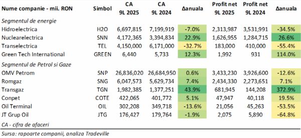 TradeVille: Tablou neuniform în sectorul energiei