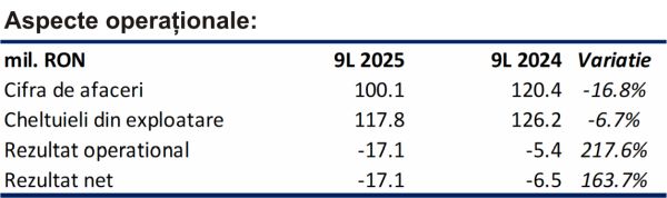 TradeVille: Prospecţiuni - sub presiunea costurilor şi a întreruperilor operaţionale