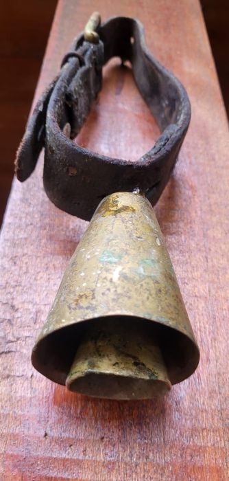 Vasâlcile şi Sânt Vasile - două datini de la Vlaşca