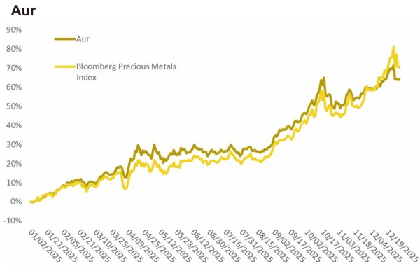 TradeVille: 2025 - an excepţional pentru piaţa metalelor