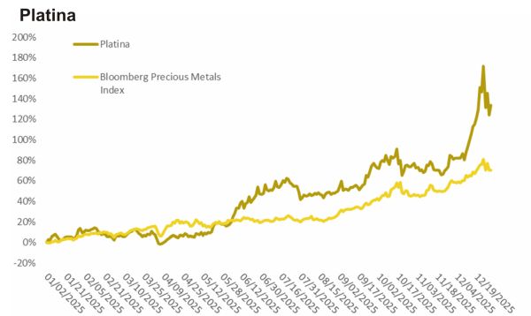 TradeVille: 2025 - an excepţional pentru piaţa metalelor