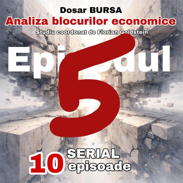 BRICS+: Arhitectura financiară alternativă şi Sudul Global
