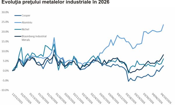 TradeVille: Metalele, pe un parcurs marcat de volatilitate