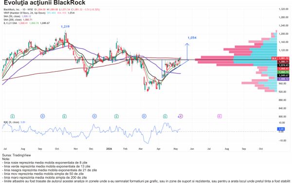 TradeVille: Acţiunile BlackRock - în apreciere modestă, de la începutul anului