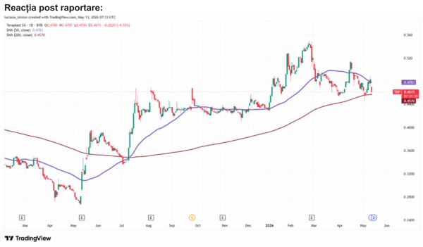 TradeVille: TeraPlast - un trimestru dificil, într-un context de piaţă nefavorabil