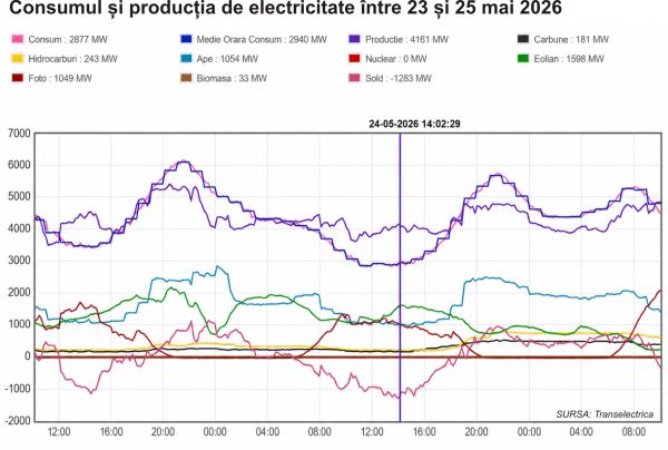 Consumul anemic de electricitate sperie economia cu preţuri negative