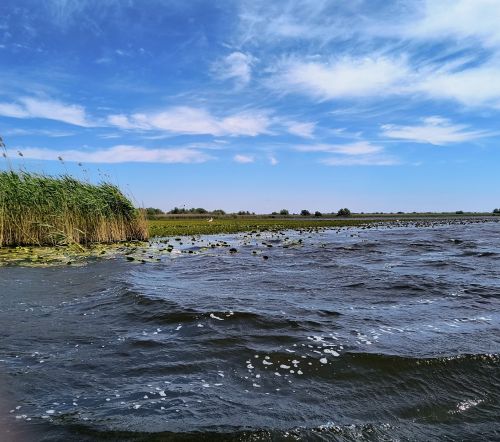 Delta Dunării - experienţa care începe în oraş şi continuă pe apă