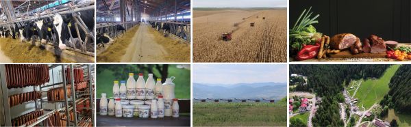 „Fără educaţie nutriţională, comportamentul de cumpărare rămâne dictat de preţ şi de reflex”