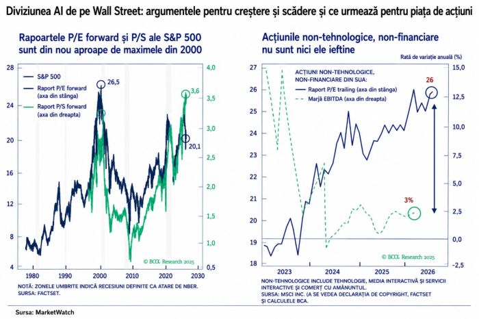 Inteligenţa artificială divide analiştii: optimism justificat sau exuberanţă speculativă?