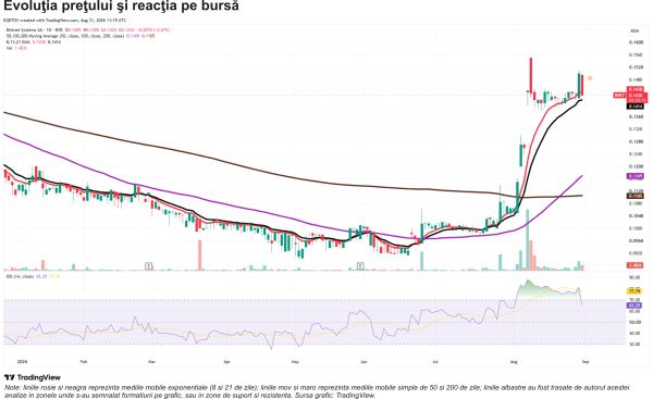 Bittnet Systems - revenirea pe profit, sprijinită de vânzarea Elian Solutions