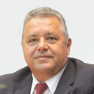 Niculae Havrileţ