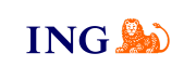 ing.ro