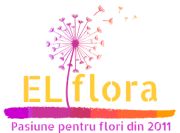 elflora.ro