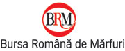 brm.ro